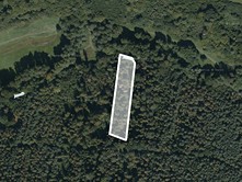 Prodej  lesa 3 524 m²